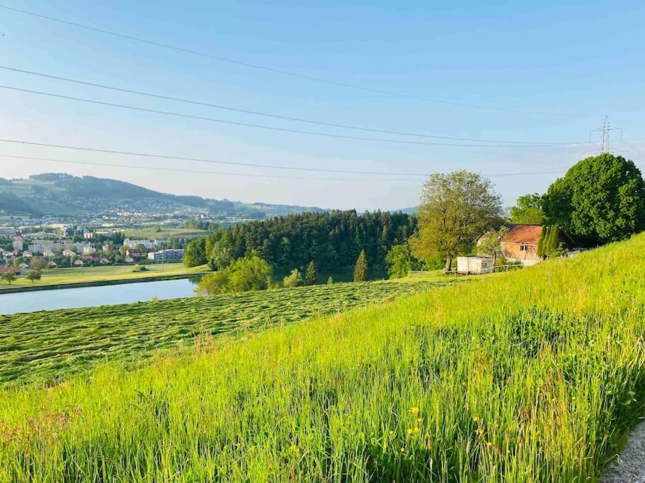 فيلا Birkenhof, Haus Schwaenli هيريساو المظهر الخارجي الصورة