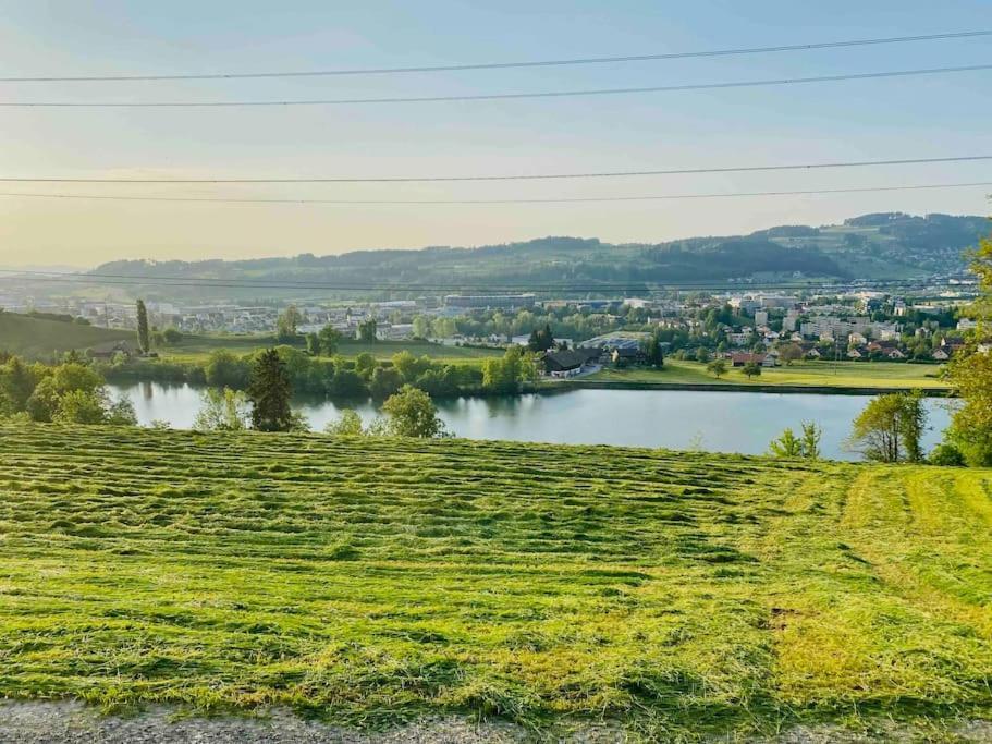 فيلا Birkenhof, Haus Schwaenli هيريساو المظهر الخارجي الصورة