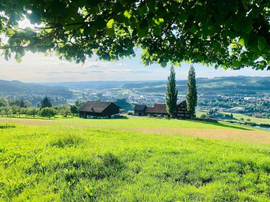 فيلا Birkenhof, Haus Schwaenli هيريساو المظهر الخارجي الصورة